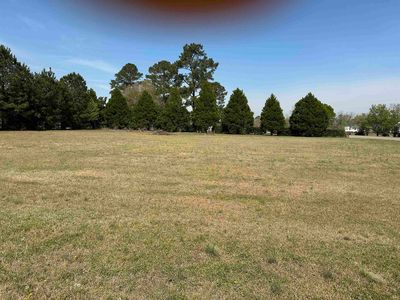 100 Ole Nobleman Ct., Conway, SC, 29527