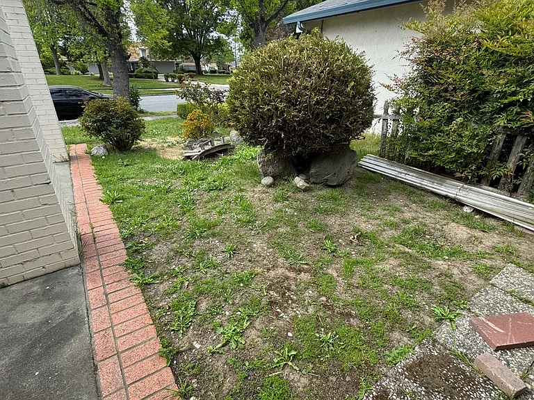 3380 Alder Ave — Photo 6