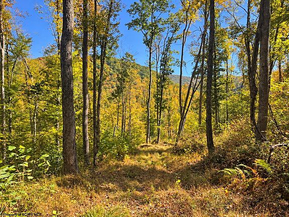 4th image of Beckys Creek Rd
