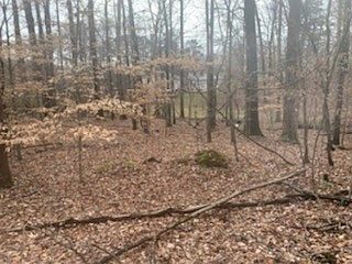 3rd image of 0 Caron Dr Lot 56-57