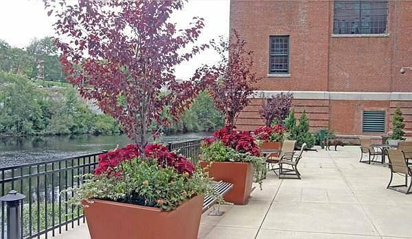 Patio overlooking Neponset River