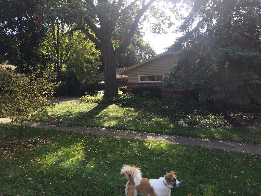 619 E Kenilworth Ave photo 1