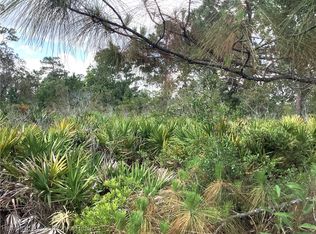 338 Piper St NW, Lake Placid, FL 33852