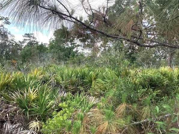 338 Piper St NW, Lake Placid, FL 33852