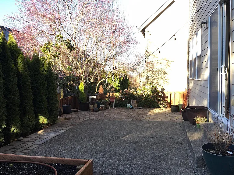 Inviting Backyard (No mowing)