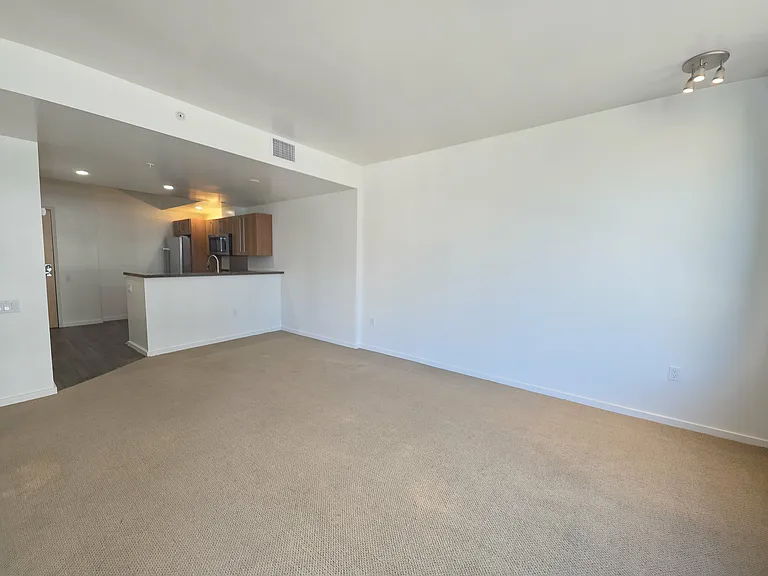 321 10th Ave #804 — Photo 17