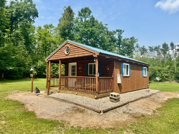 1304 Tabitha Trl, Mio, MI 48647