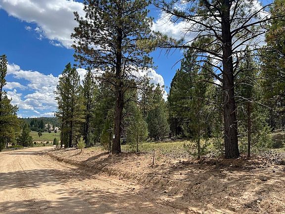 5th image of Elk Ridge Estates Phase 6 Lot 19