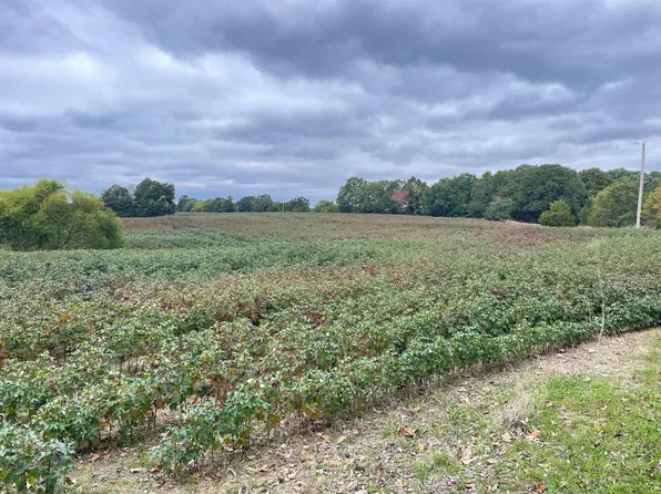 2000 Hopewell Rd, Lavinia, TN 38348