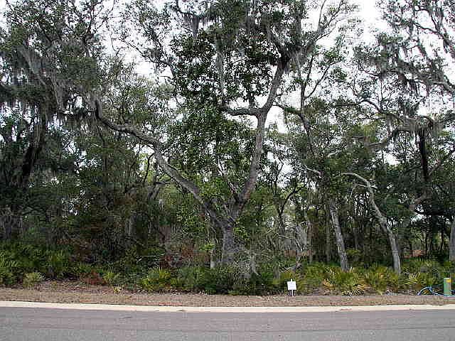 1st image of 206 Cobia Ln