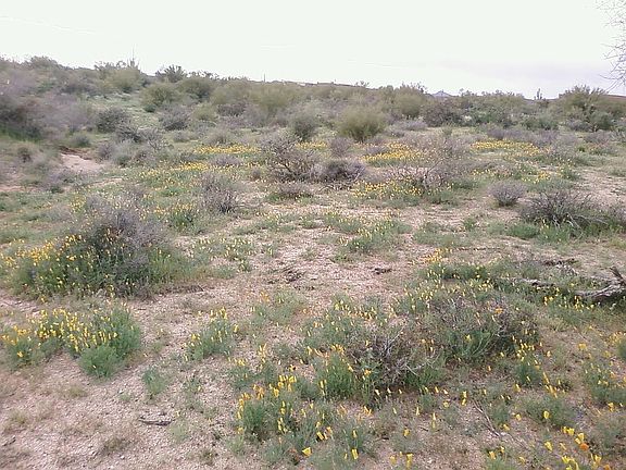 3rd image of 143XX Tumbleweed Dr