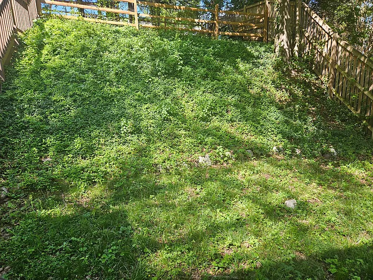 221 Dale Dr — Photo 32
