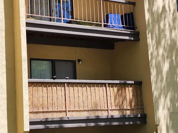 2450 Lymbery St APT 333, Reno, NV 89509