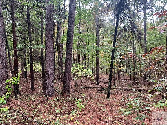 4th image of Woodland Lake Dr