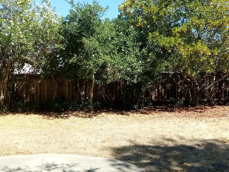 2921 Fyne Dr — Photo 16