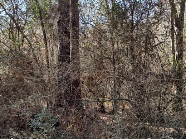 No Pecan Dr #33, Lumberton, MS 39455