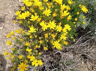 11400 Bonanza Dr, Tehachapi, CA 93561