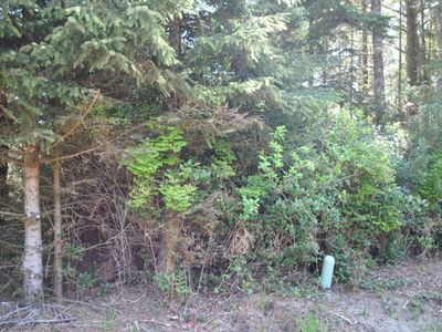 564 Sunset Ave NE, Ocean Shores, WA, 98569