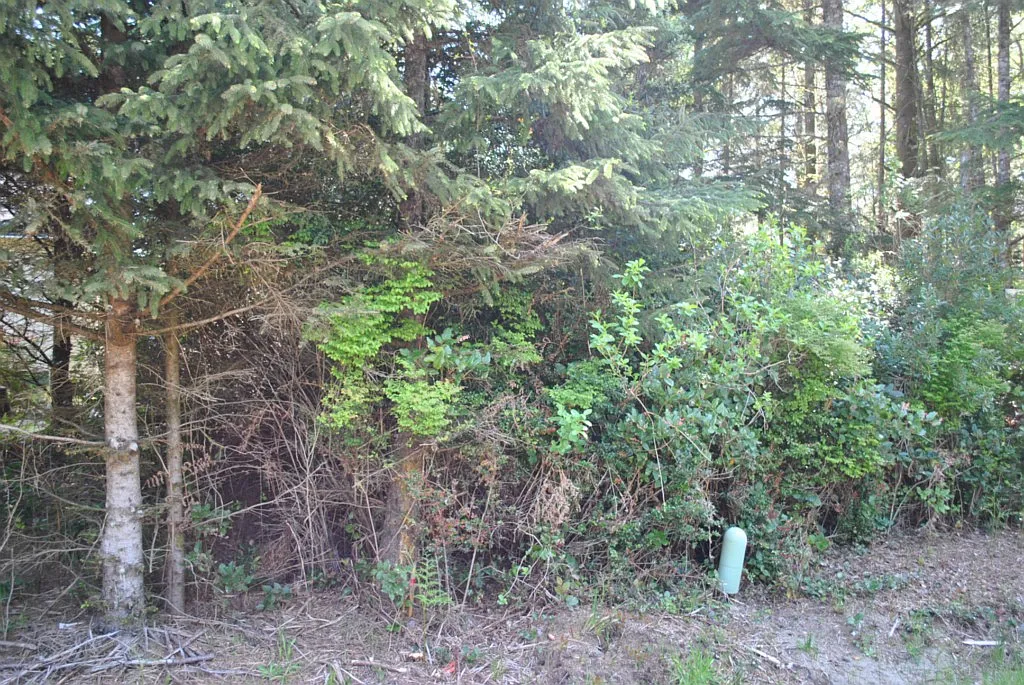 564 Sunset Ave NE photo 1