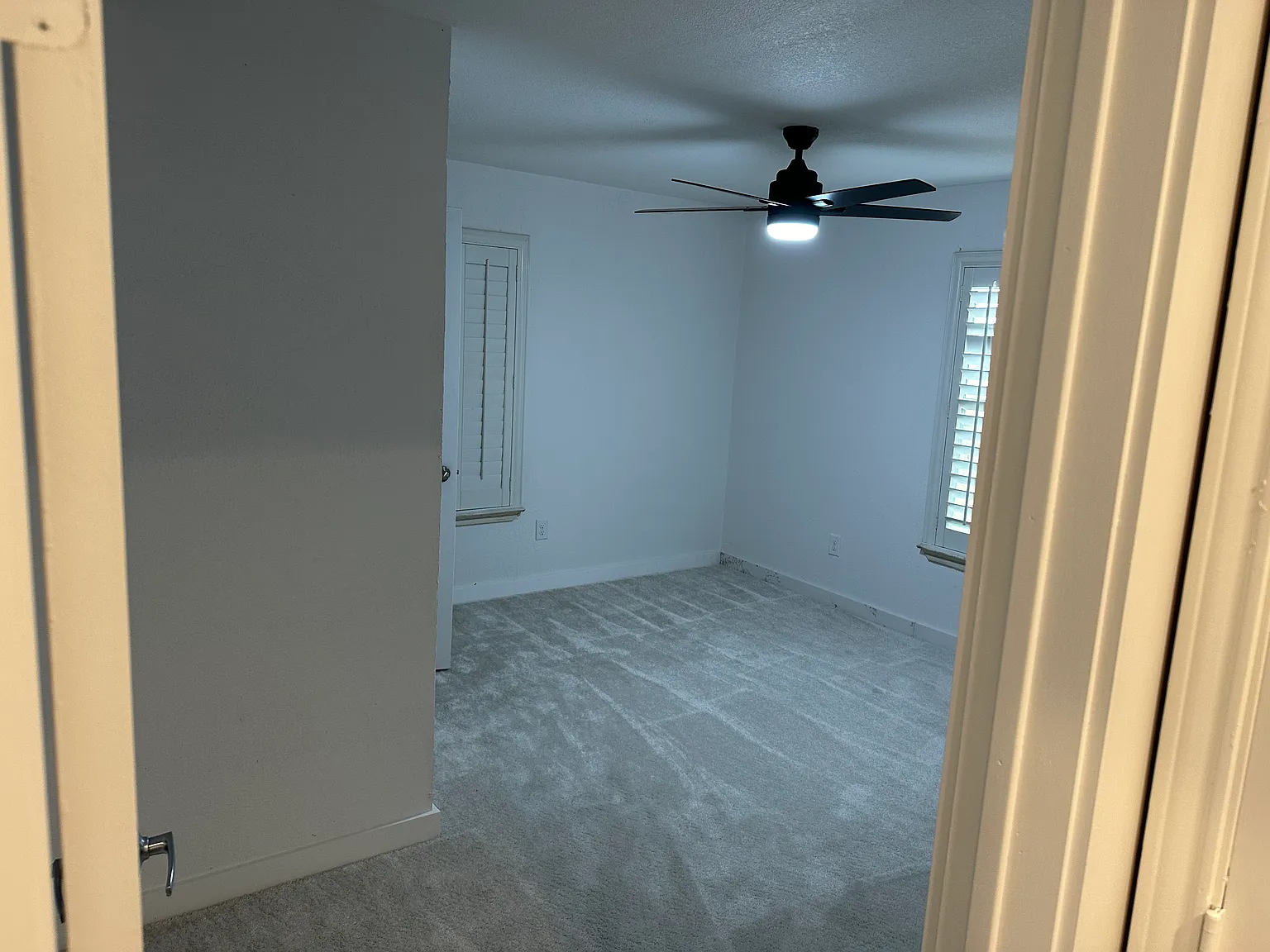 305 College St — Photo 4