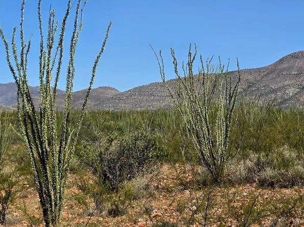 TBD E Beech Craft Boulevard #-, Bisbee, AZ 85603