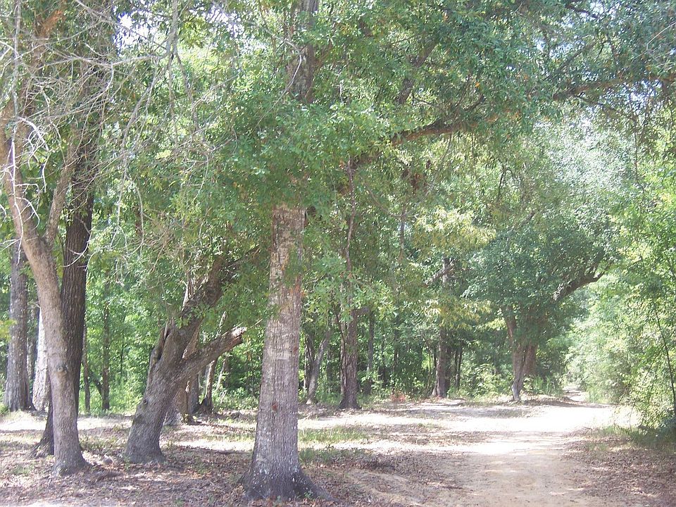 2nd image of 299 McSween Rd