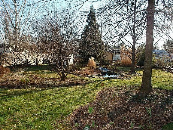 landscaped back yard