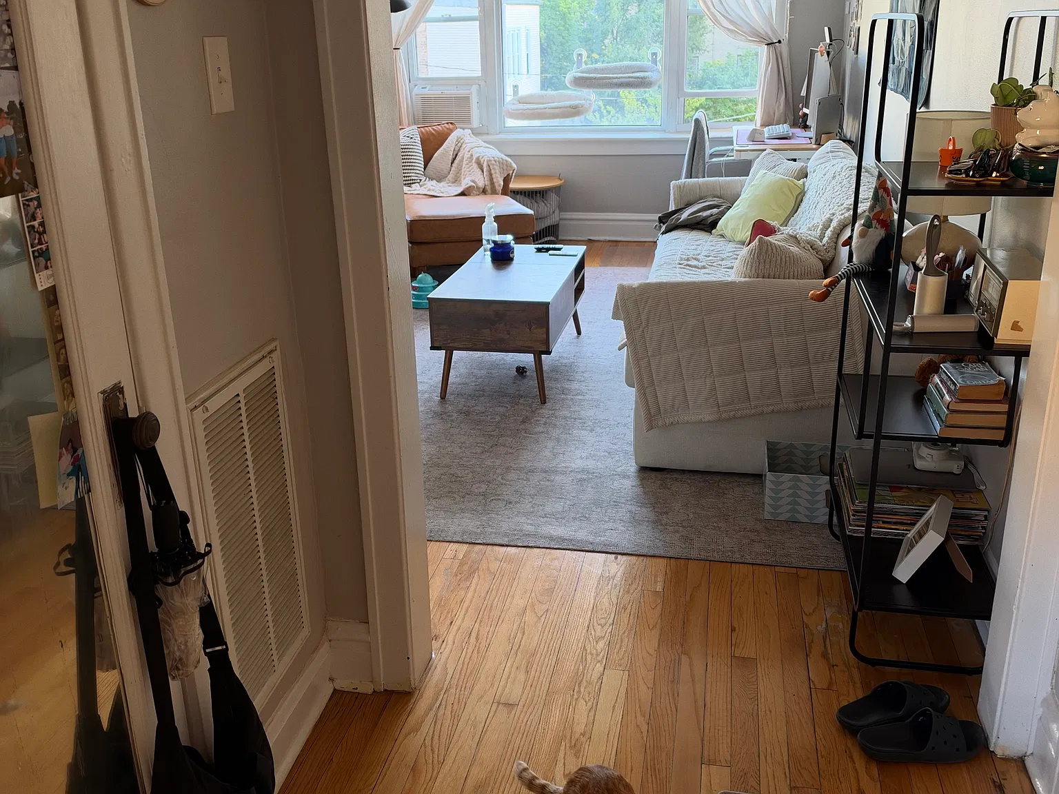 1 bed, $1,825 — Photo 3