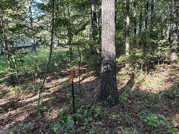 0 Turkey Ct Lot 42 & 46, Waco, GA 30182