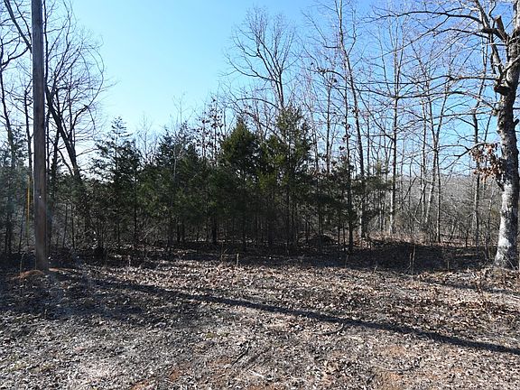 4th image of 146 Wyatt Ln Lot 10