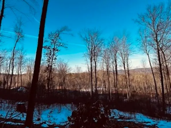 00 Hill Road, Alstead, NH 03602