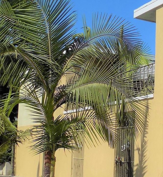 2nd image of 2312 Santa Fe Ave APT 1