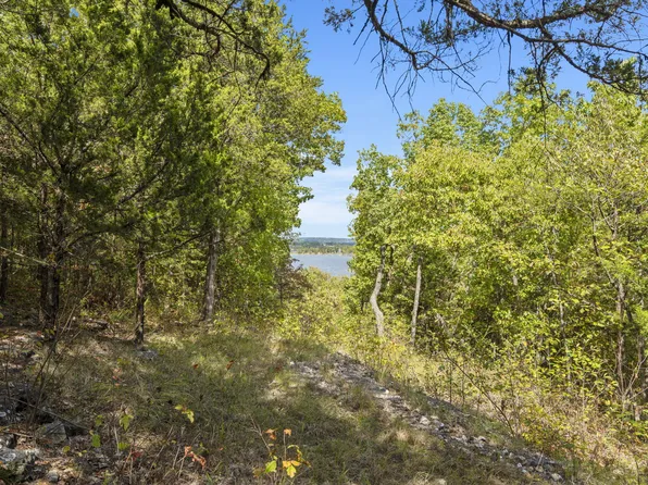 000 Pheasant Run Lane, Lampe, MO 65681