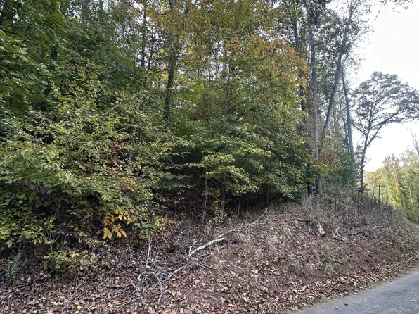 0 Wrights Ferry Rd, Louisville, TN 37777