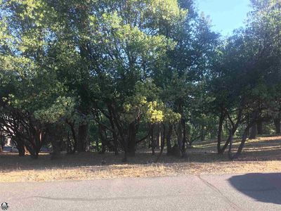 4 Point View Dr #199, Groveland, CA, 95321