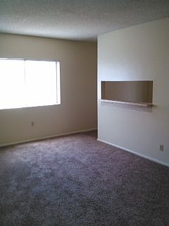living room_01252017