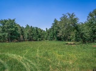 23400 County Road 244 TRACT 4, Overton, TX 75684