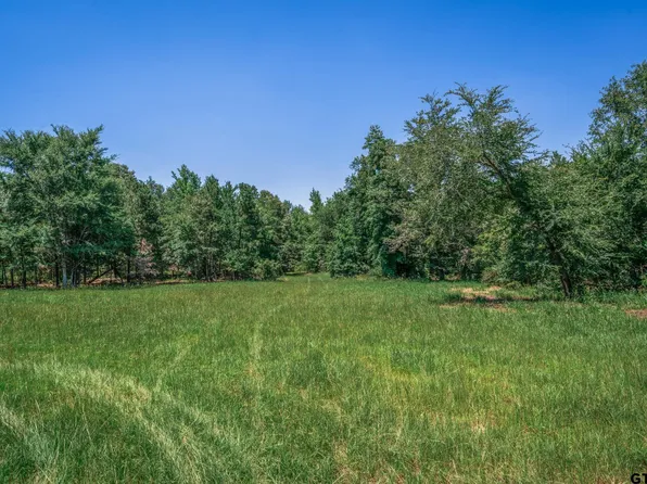 23400 County Road 244 Tract 4, Overton, TX 75684