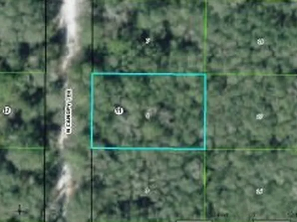 6585 N Canopy Ter, Hernando, FL 34442