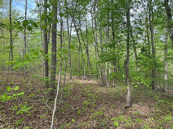 2nd image of LOT 8 Lakefront Ln