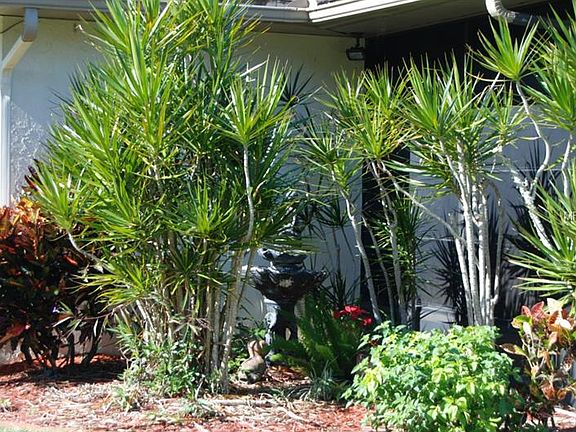 4th image of 751 Vivienda North Ct #19