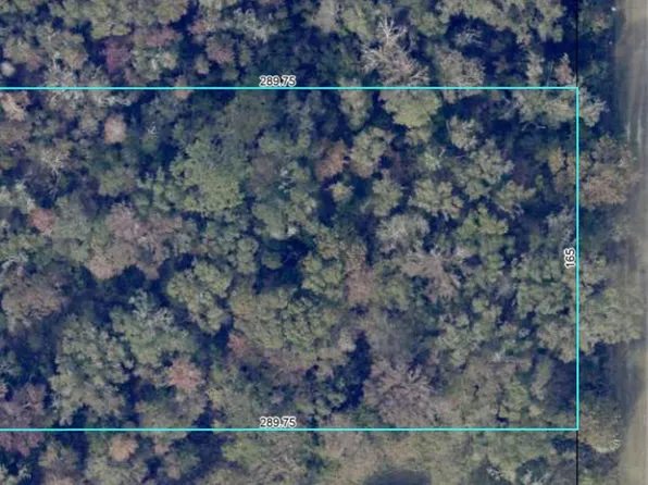 10265 W Deep Creek Blvd, Hastings, FL 32145