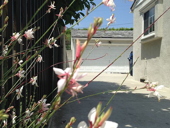 Entry to Garage