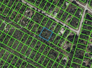 1056 Freehill Ave, Lake Placid, FL 33852