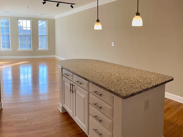 1023 N Royal St #206 — Photo 4