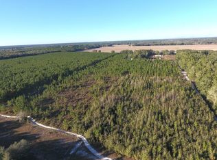 NE Thalia Rd, Mayo, FL 32066