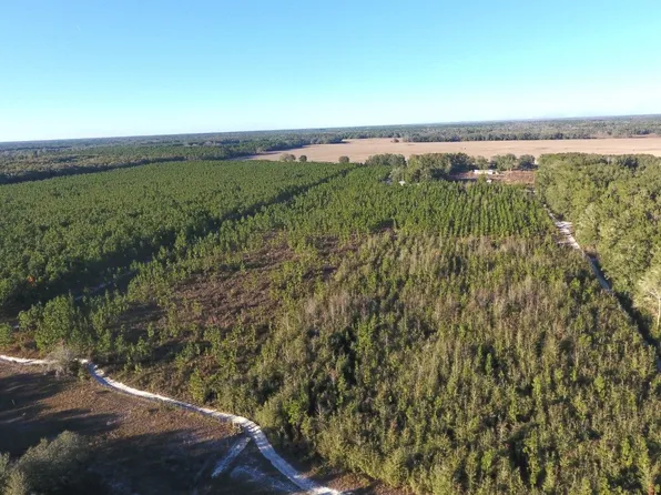 NE Thalia Rd, Mayo, FL 32066