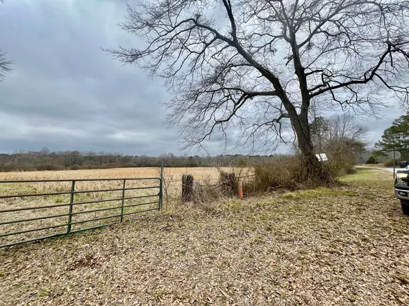 Trull Rd, Winfield, AL 35594