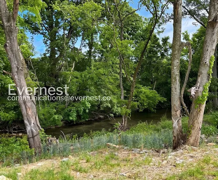 212 Branch Trl — Photo 18