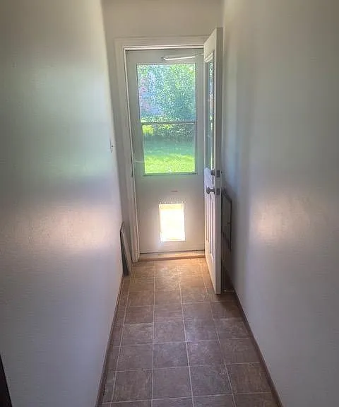 Backdoor, dog door